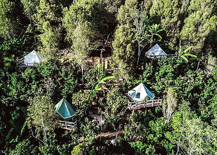 Desa Eko Campo de lujo Munduk