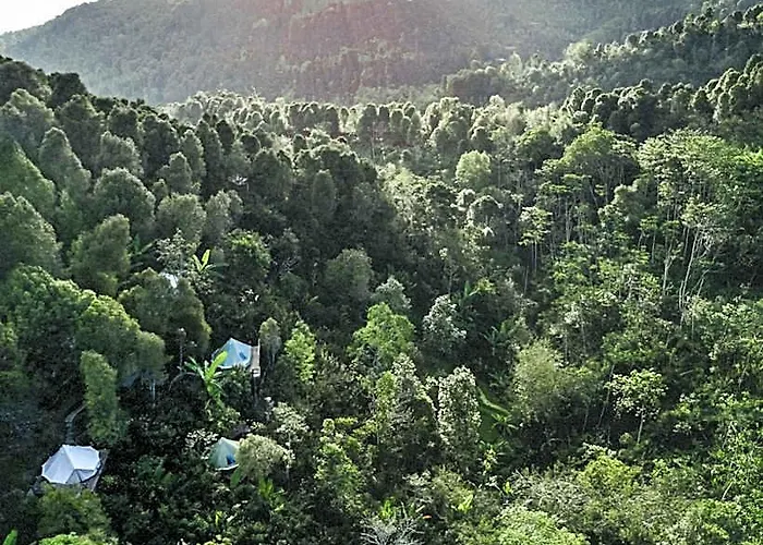 Desa Eko Campo de lujo