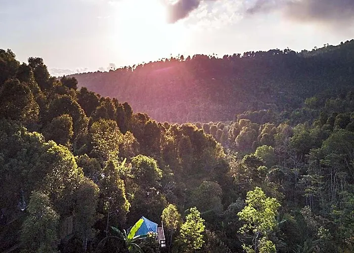 Desa Eko Campo de lujo Munduk