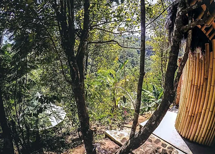 Desa Eko Campo de lujo Munduk